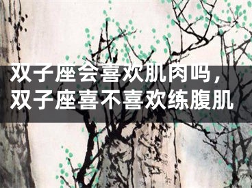 双子座会喜欢肌肉吗,双子座喜不喜欢练腹肌