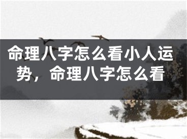 命理八字怎么看小人运势，命理八字怎么看