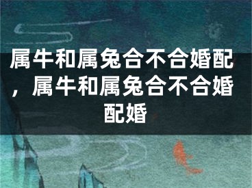 属牛和属兔合不合婚配，属牛和属兔合不合婚配婚