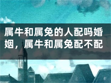 属牛和属兔的人配吗婚姻,属牛和属兔配不配