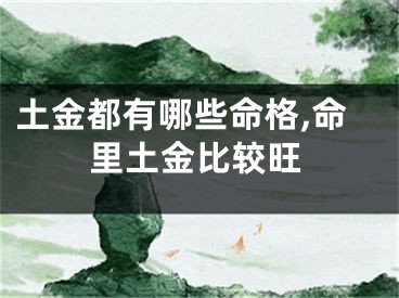 土金都有哪些命格,命里土金比较旺