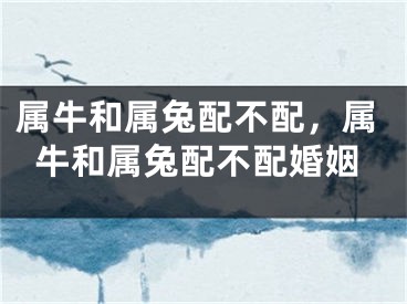 属牛和属兔配不配,属牛和属兔配不配婚姻