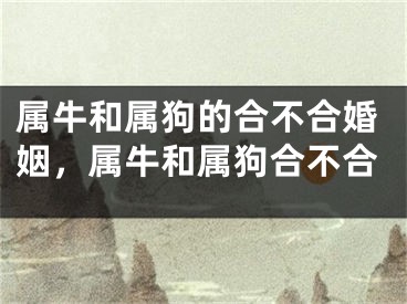 属牛和属狗的合不合婚姻,属牛和属狗合不合