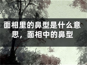 面相里的鼻型是什么意思,面相中的鼻型