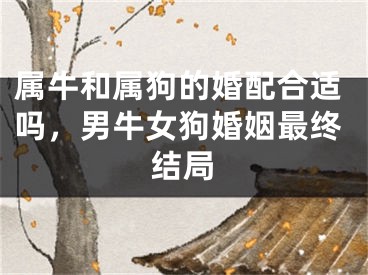 属牛和属狗的婚配合适吗，男牛女狗婚姻最终结局