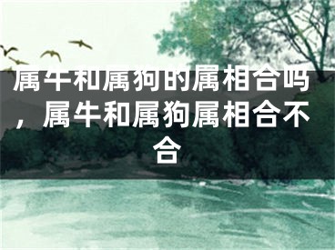 属牛和属狗的属相合吗,属牛和属狗属相合不合