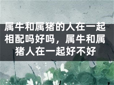 属牛和属猪的人在一起相配吗好吗,属牛和属猪人在一起好不好