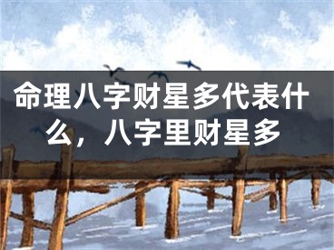 命理八字财星多代表什么,八字里财星多