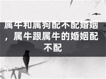 属牛和属狗配不配婚姻,属牛跟属牛的婚姻配不配