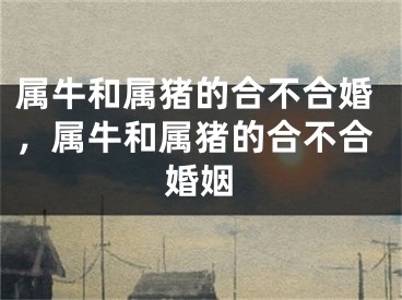 属牛和属猪的合不合婚,属牛和属猪的合不合婚姻