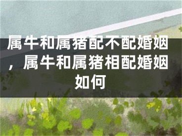 属牛和属猪配不配婚姻,属牛和属猪相配婚姻如何