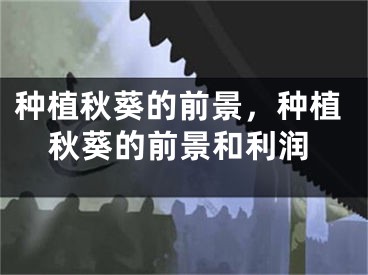 种植秋葵的前景，种植秋葵的前景和利润