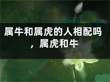 属牛和属虎的人相配吗,属虎和牛