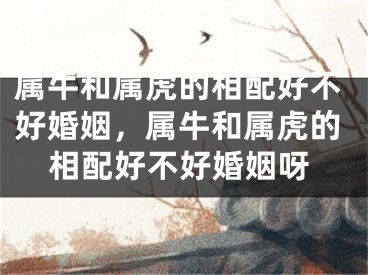 属牛和属虎的相配好不好婚姻,属牛和属虎的相配好不好婚姻呀