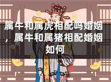 属牛和属虎相配吗婚姻,属牛和属猪相配婚姻如何