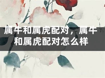 属牛和属虎配对，属牛和属虎配对怎么样