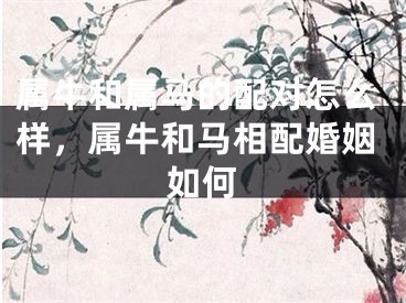 属牛和属马的配对怎么样,属牛和马相配婚姻如何