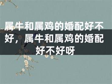 属牛和属鸡的婚配好不好,属牛和属鸡的婚配好不好呀