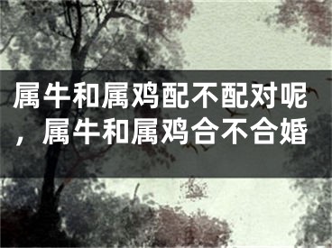 属牛和属鸡配不配对呢,属牛和属鸡合不合婚