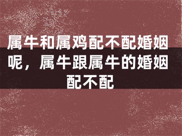 属牛和属鸡配不配婚姻呢,属牛跟属牛的婚姻配不配