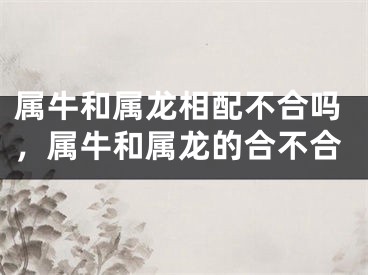 属牛和属龙相配不合吗,属牛和属龙的合不合