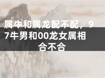 属牛和属龙配不配，97牛男和00龙女属相合不合