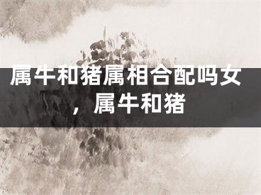 属牛和猪属相合配吗女,属牛和猪
