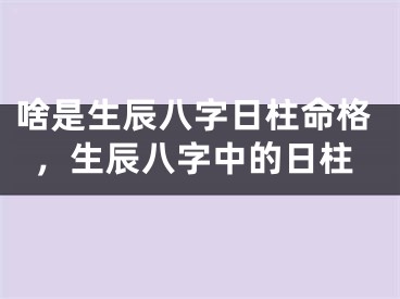 啥是生辰八字日柱命格,生辰八字中的日柱