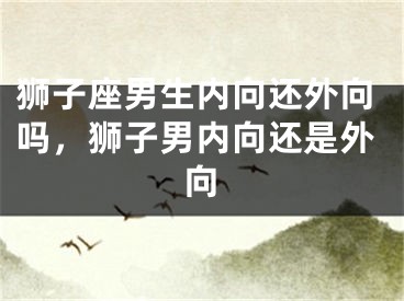 狮子座男生内向还外向吗，狮子男内向还是外向