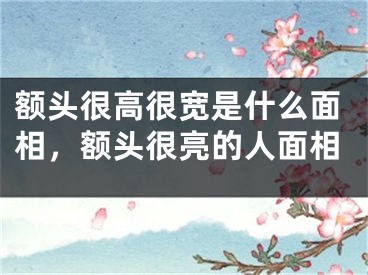 额头很高很宽是什么面相,额头很亮的人面相