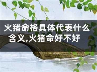 火猪命格具体代表什么含义,火猪命好不好