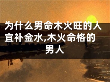 为什么男命木火旺的人宜补金水,木火命格的男人