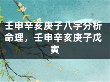 壬申辛亥庚子八字分析命理,壬申辛亥庚子戊寅