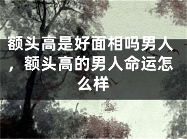 额头高是好面相吗男人，额头高的男人命运怎么样