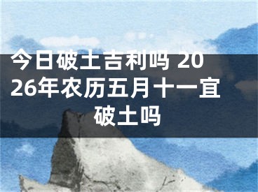 今日破土吉利吗 2026年农历五月十一宜破土吗