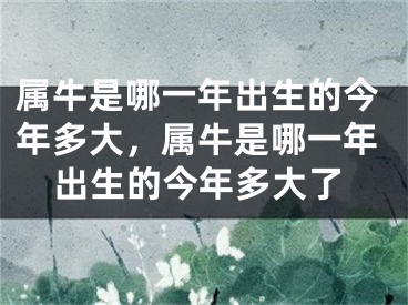 属牛是哪一年出生的今年多大,属牛是哪一年出生的今年多大了