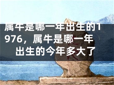属牛是哪一年出生的1976，属牛是哪一年出生的今年多大了
