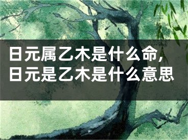 日元属乙木是什么命,日元是乙木是什么意思