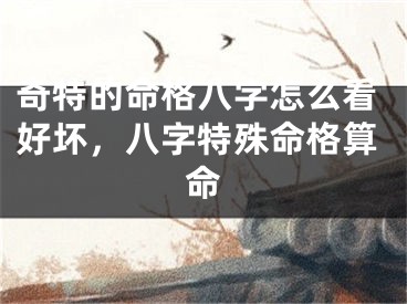奇特的命格八字怎么看好坏,八字特殊命格算命