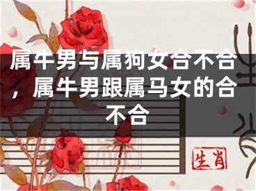 属牛男与属狗女合不合，属牛男跟属马女的合不合