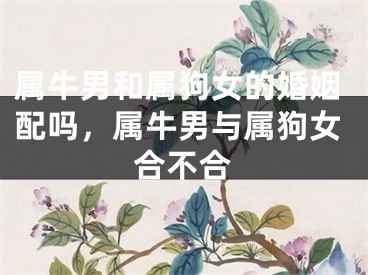 属牛男和属狗女的婚姻配吗，属牛男与属狗女合不合
