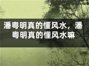 潘粤明真的懂风水，潘粤明真的懂风水嘛