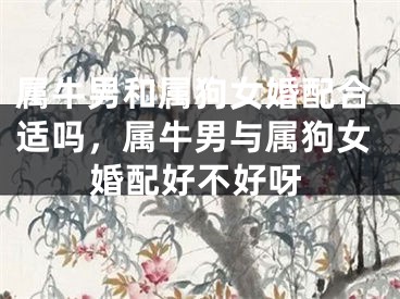 属牛男和属狗女婚配合适吗,属牛男与属狗女婚配好不好呀