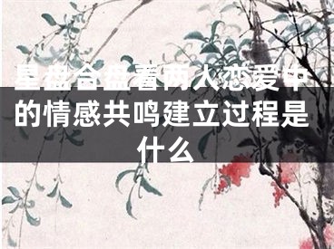星盘合盘看两人恋爱中的情感共鸣建立过程是什么