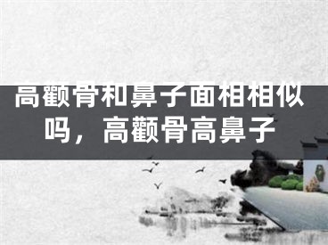 高颧骨和鼻子面相相似吗,高颧骨高鼻子