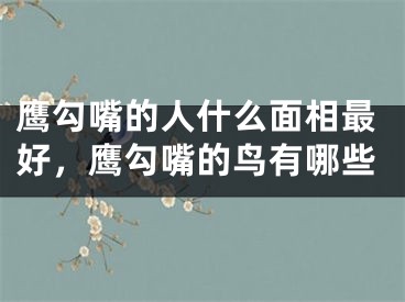 鹰勾嘴的人什么面相最好，鹰勾嘴的鸟有哪些