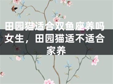 田园猫适合双鱼座养吗女生,田园猫适不适合家养