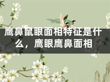 鹰鼻鼠眼面相特征是什么,鹰眼鹰鼻面相