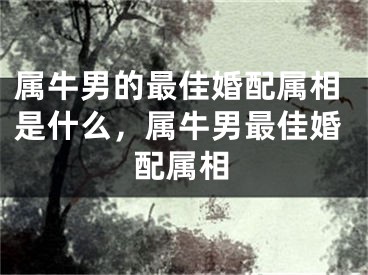 属牛男的最佳婚配属相是什么,属牛男最佳婚配属相