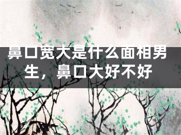 鼻口宽大是什么面相男生,鼻口大好不好